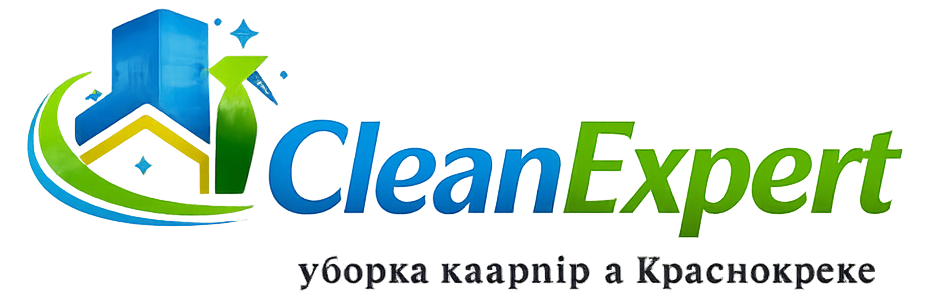 CleanExpert